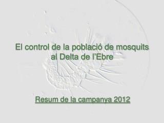 El control de la població de mosquits al Delta de l’Ebre