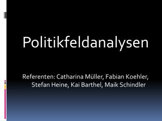 Politikfeldanalysen