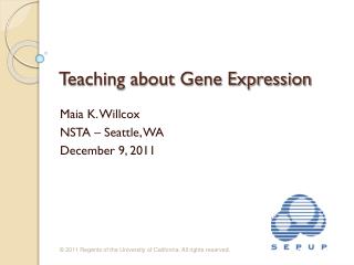 Teaching about Gene Expression