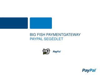 Big FISH Paymentgateway paypal SEG É DLET