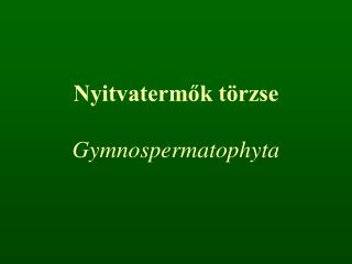 Nyitvatermők törzse Gymnospermatophyta