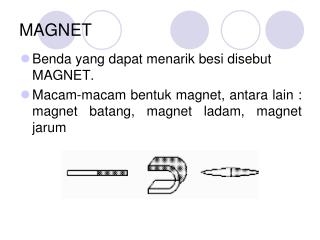 MAGNET