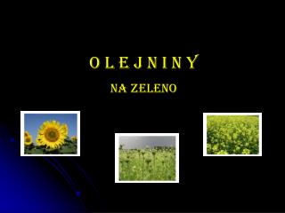 O L E J N I N Y na zeleno