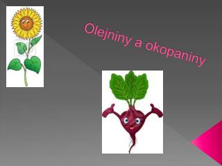 Olejniny a okopaniny