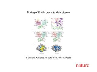 S Chen et al. Nature 000 , 1-5 (2013) doi:10.1038/nature12232