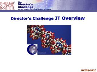 Director’s Challenge IT Overview