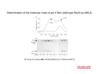 QF Jiang et al. Nature 460 , 359 - 363 (2009) doi:10.1038/nature08 178