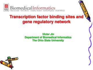 Transcription factor binding sites and gene regulatory network