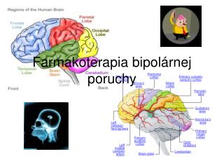 Farmakoterapia bipolárnej poruchy