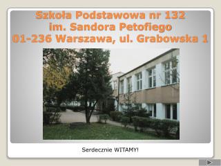 Szkoła Podstawowa nr 132 im. Sandora Petofiego 01-236 Warszawa, ul. Grabowska 1