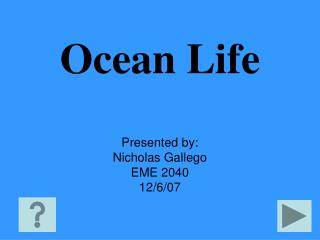 Ocean Life