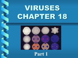 VIRUSES CHAPTER 18