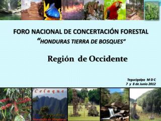 FORO NACIONAL DE CONCERTACIÓN FORESTAL “ HONDURAS TIERRA DE BOSQUES”