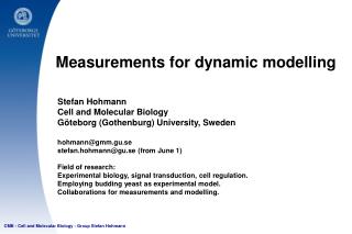 Measurements for dynamic modelling