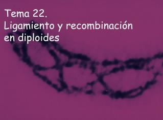 Tema 22. Ligamiento y recombinación en diploides