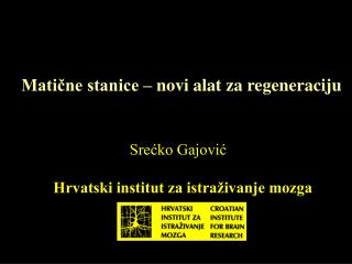 Matične stanice – novi alat za regeneraciju