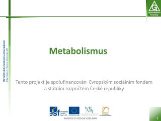 Metabolismus