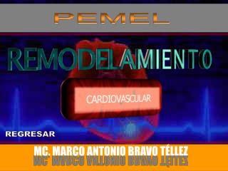 PEMEL