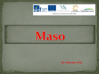 Maso