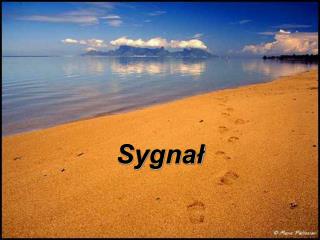 Sygnał