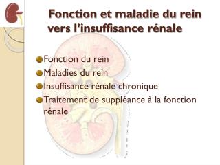 Fonction et maladie du rein vers l’insuffisance rénale