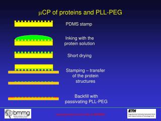 CP of proteins and PLL-PEG