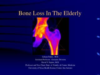 Bone Loss In The Elderly