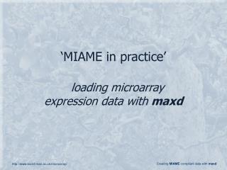 ‘MIAME in practice’ loading microarray expression data with maxd