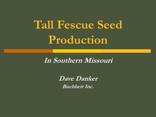 Tall Fescue Seed Production