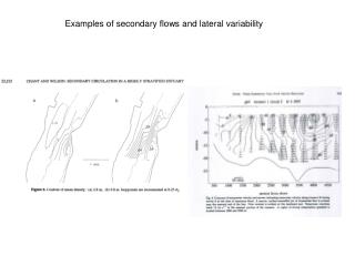 Examples of secondary flows and lateral variability