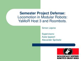 Semester Project Defense: Locomotion in Modular Robots: YaMoR Host 3 and Roombots.