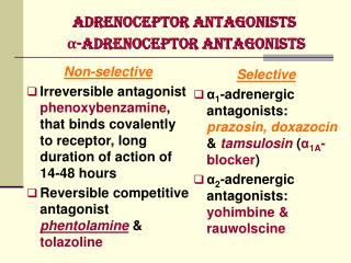 Adrenoceptor Antagonists α-Adrenoceptor Antagonists