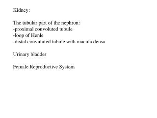 Kidney: The tubular part of the nephron: -proximal convoluted tubule -loop of Henle