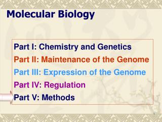 Molecular Biology