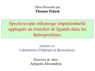 Spectroscopie infrarouge impulsionnelle appliquée au transfert de ligands dans les hémoprotéines