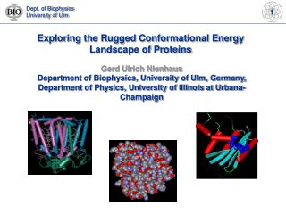 Exploring the Rugged Conformational Energy Landscape of Proteins