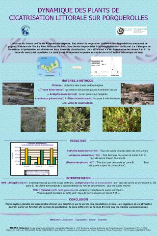 DYNAMIQUE DES PLANTS DE CICATRISATION LITTORALE SUR PORQUEROLLES