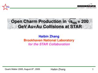 Haibin Zhang Brookhaven National Laboratory for the STAR Collaboration
