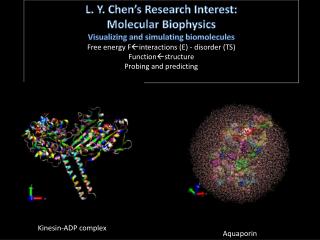 L. Y. Chen’s Research Interest: Molecular Biophysics Visualizing and simulating biomolecules