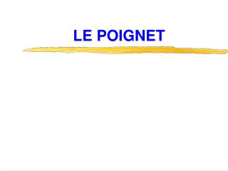 LE POIGNET