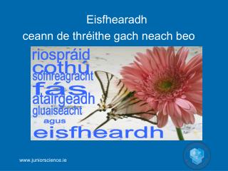 Eisfhearadh ceann de thréithe gach neach beo