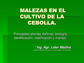 MALEZAS EN EL CULTIVO DE LA CEBOLLA.