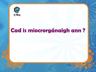 Cad is miocrorgánaigh ann ?