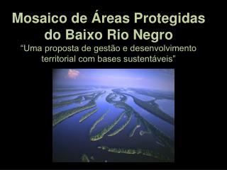 Mosaico de Áreas Protegidas do Baixo Rio Negro
