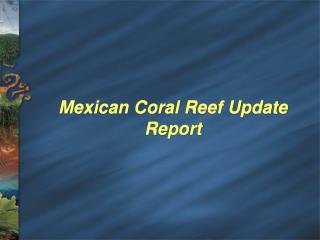 Mexican Coral Reef Update Report