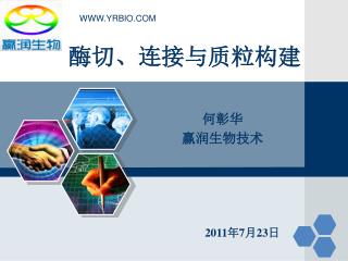酶切、连接与质粒构建