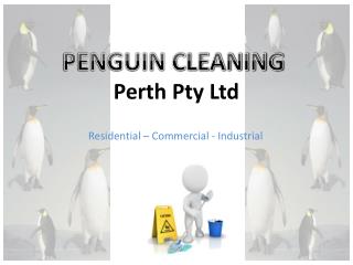 Penguin Cleaning Perth