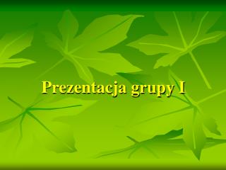 Prezentacja grupy I