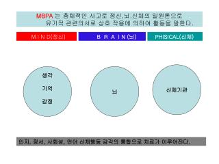 MBPA 는 총체적인 사고로 정신 , 뇌 , 신체의 일원론으로 유기적 관련의서로 상호 작용에 의하여 활동을 말한다 .