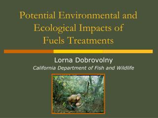 Potential Environmental and Ecological Impacts of Fuels Treatments